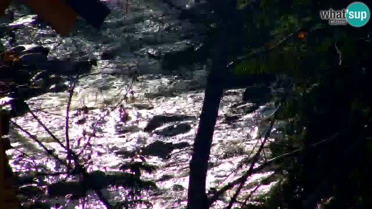 Spletna kamera Lukanja – Water Village | Pohorje Houses