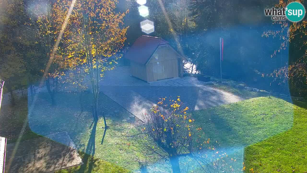 Webcam Lukanja – Pohorje houses a Water village