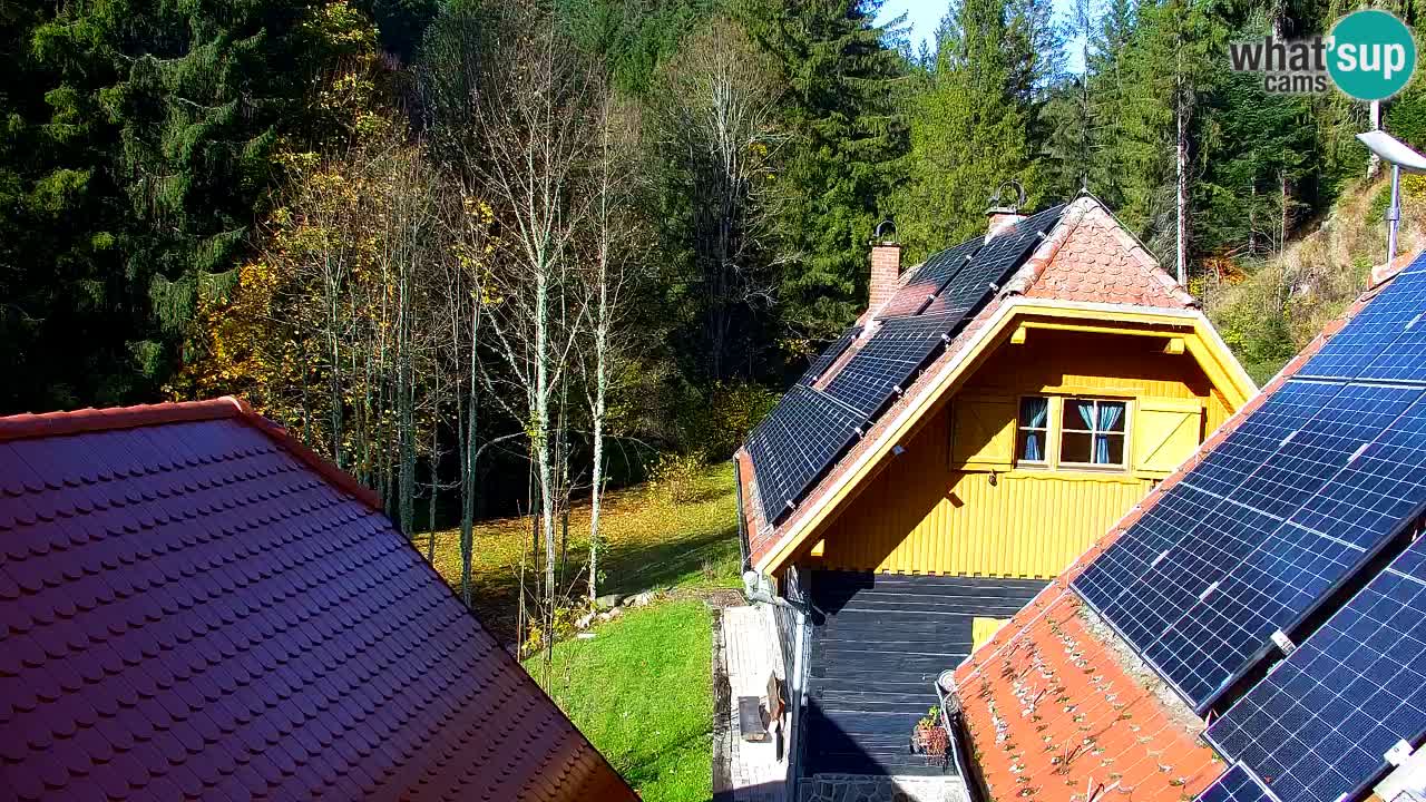 Web kamera Lukanja – Water Village | Pohorje Houses