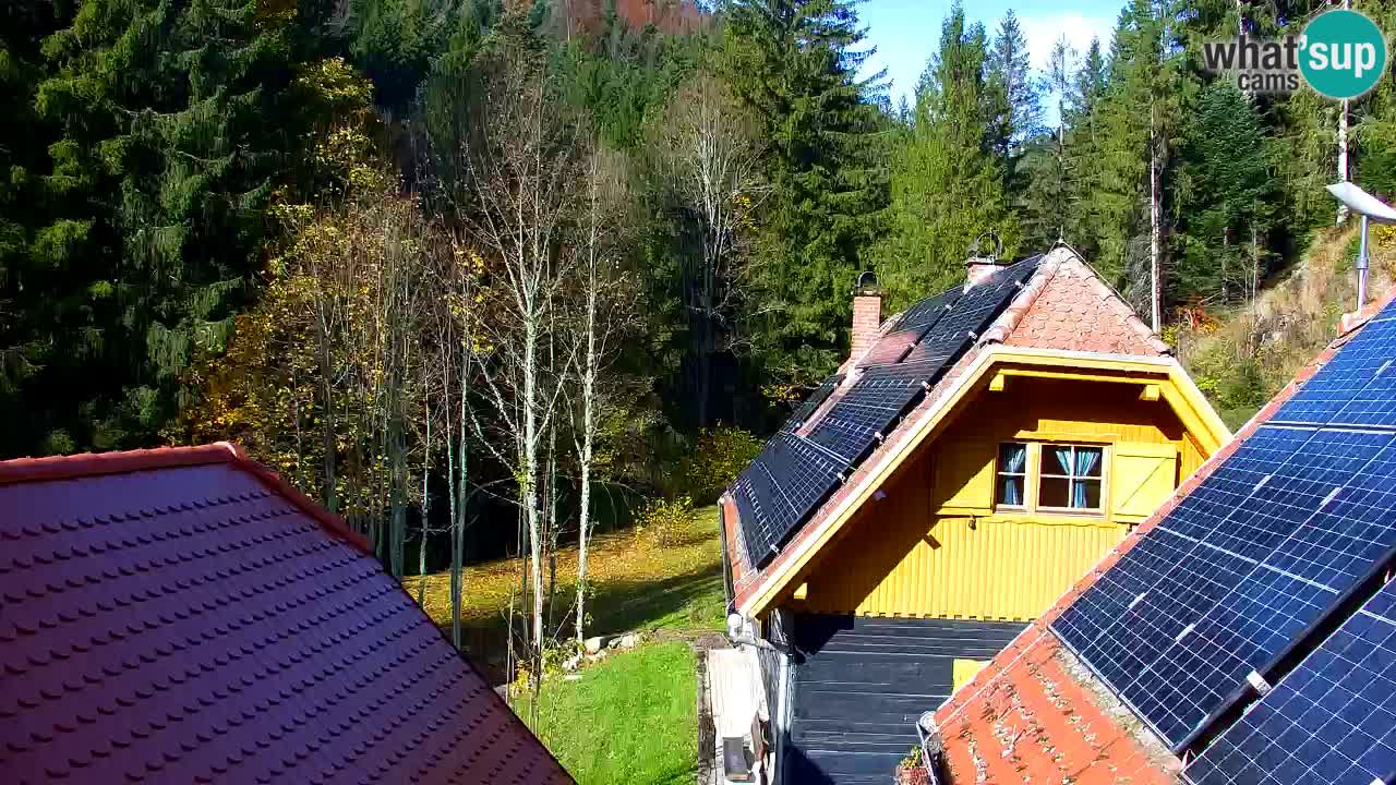 Web kamera Lukanja – Water Village | Pohorje Houses