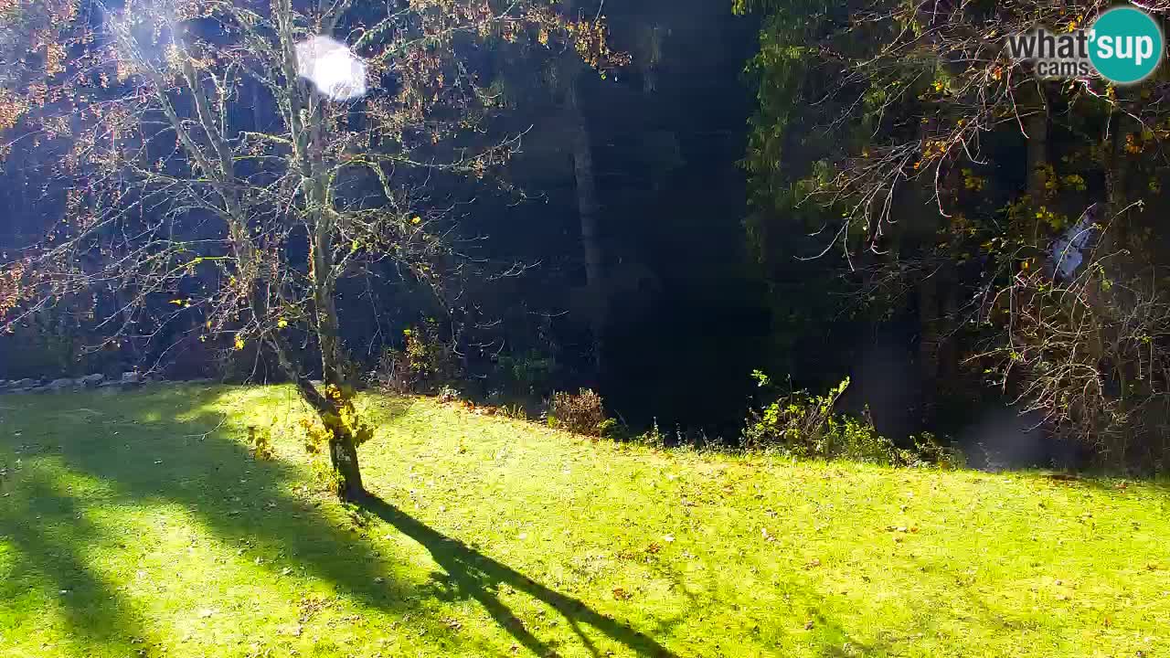 Webcam Lukanja – Pohorje houses a Water village
