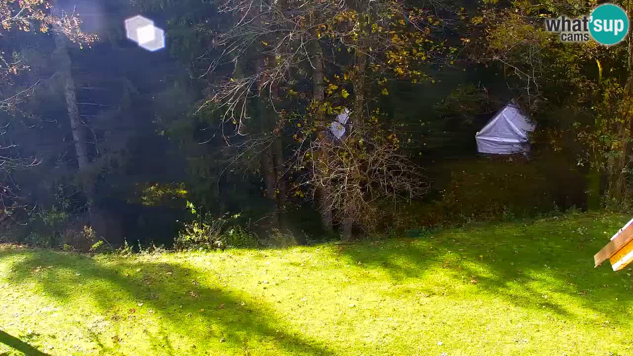 Spletna kamera Lukanja – Water Village | Pohorje Houses