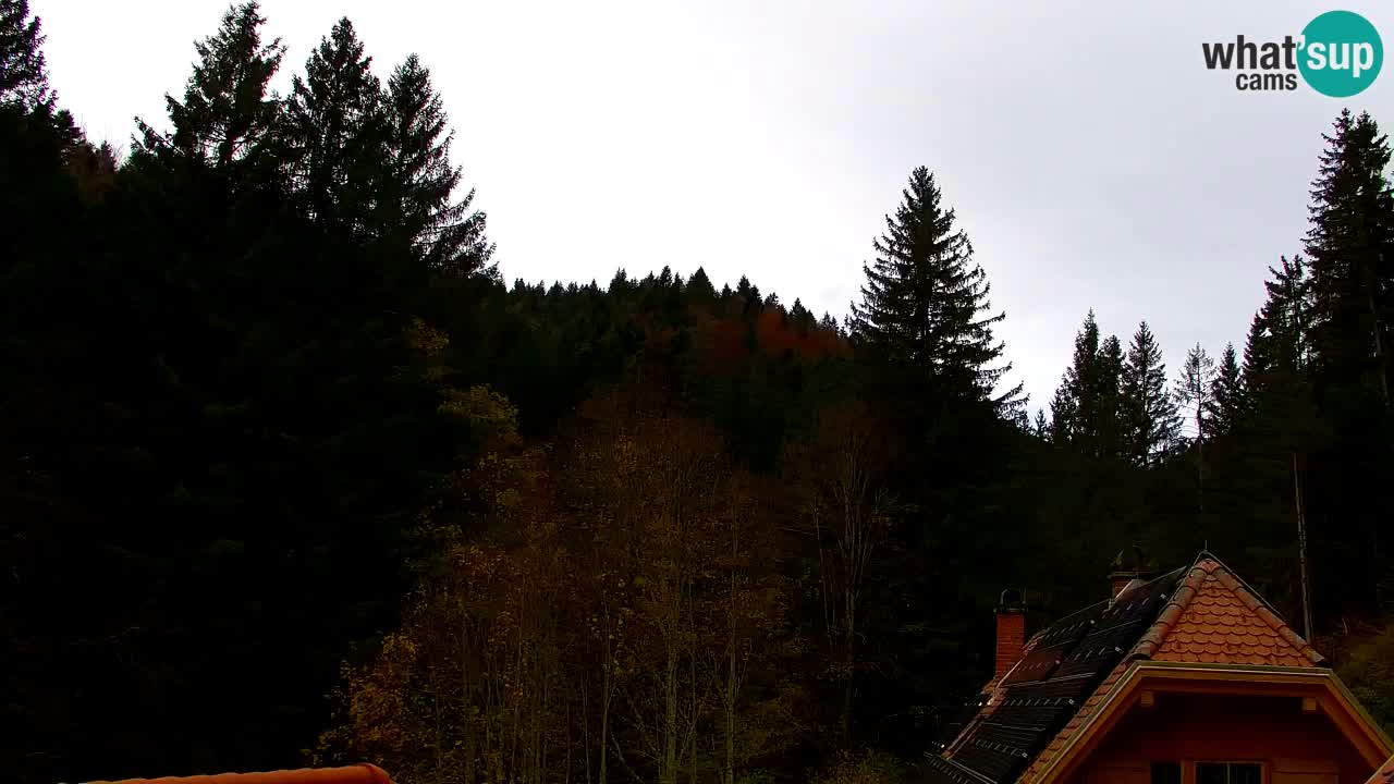 Webcam Lukanja – Pohorje houses a Water village