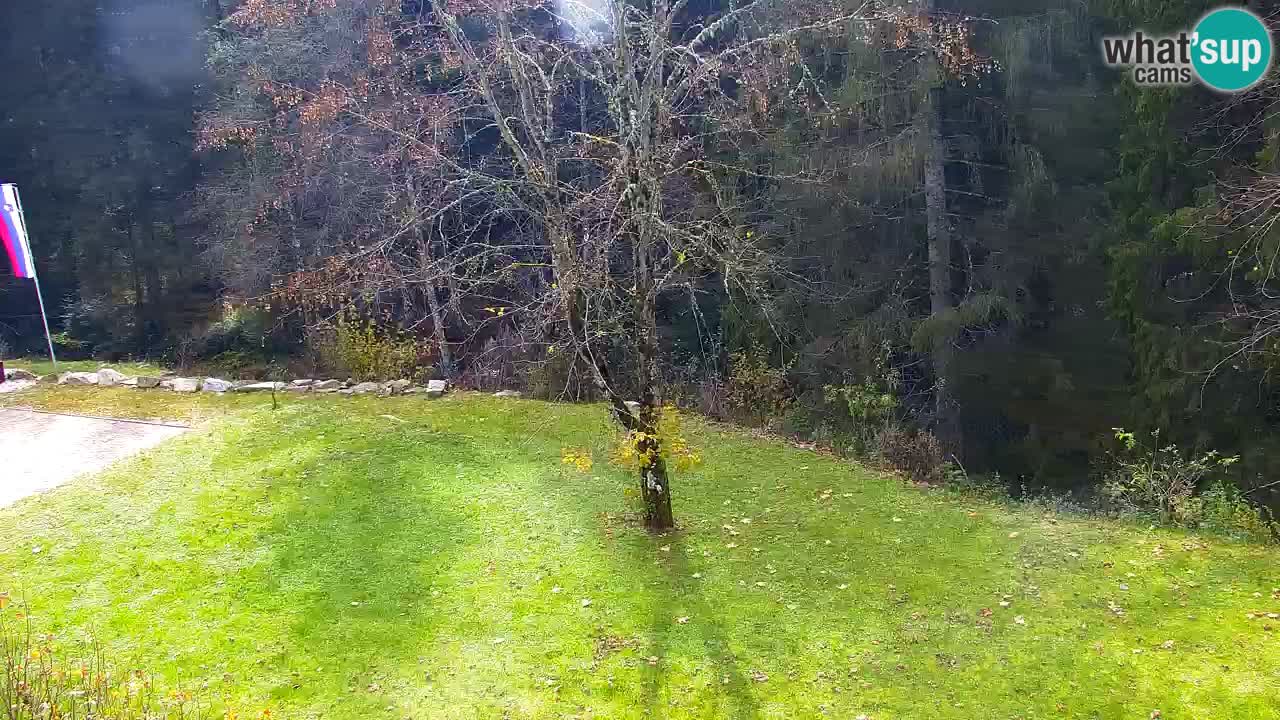 Webcam Lukanja – Water Village | Pohorje Houses