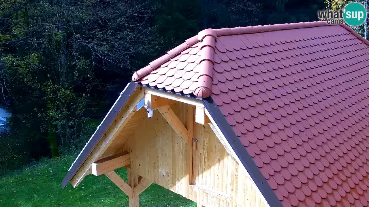 Spletna kamera Lukanja – Water Village | Pohorje Houses