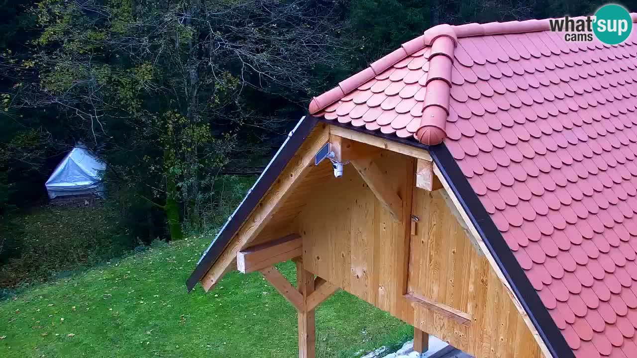 Web kamera Lukanja – Water Village | Pohorje Houses