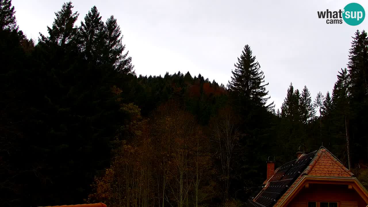 Web kamera Lukanja – Water Village | Pohorje Houses