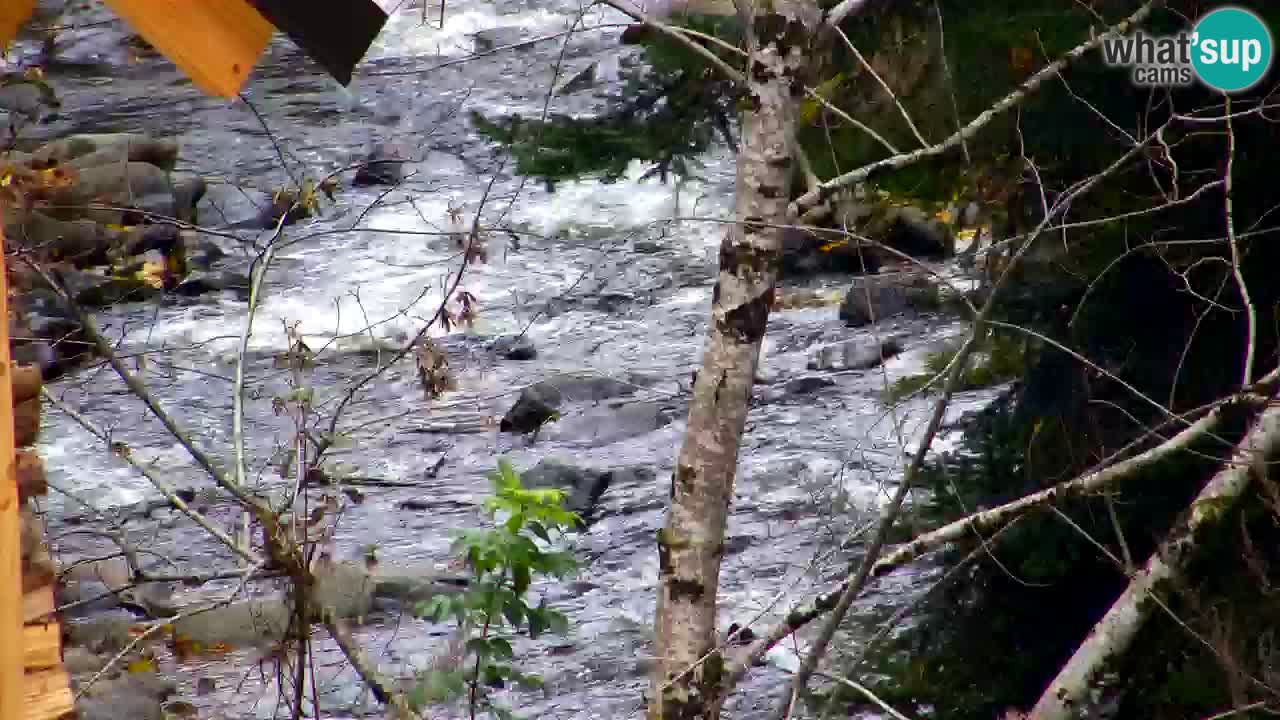 Webcam Lukanja – Water Village | Pohorje Houses