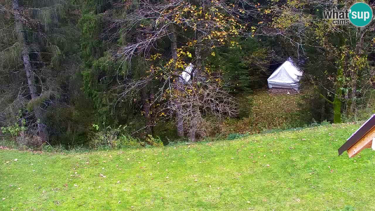 Web kamera Lukanja – Water Village | Pohorje Houses
