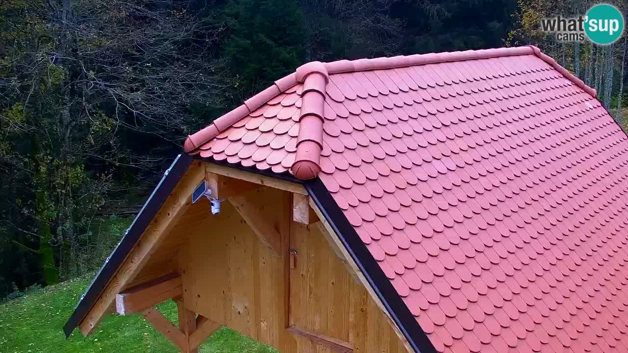 Spletna kamera Lukanja – Water Village | Pohorje Houses