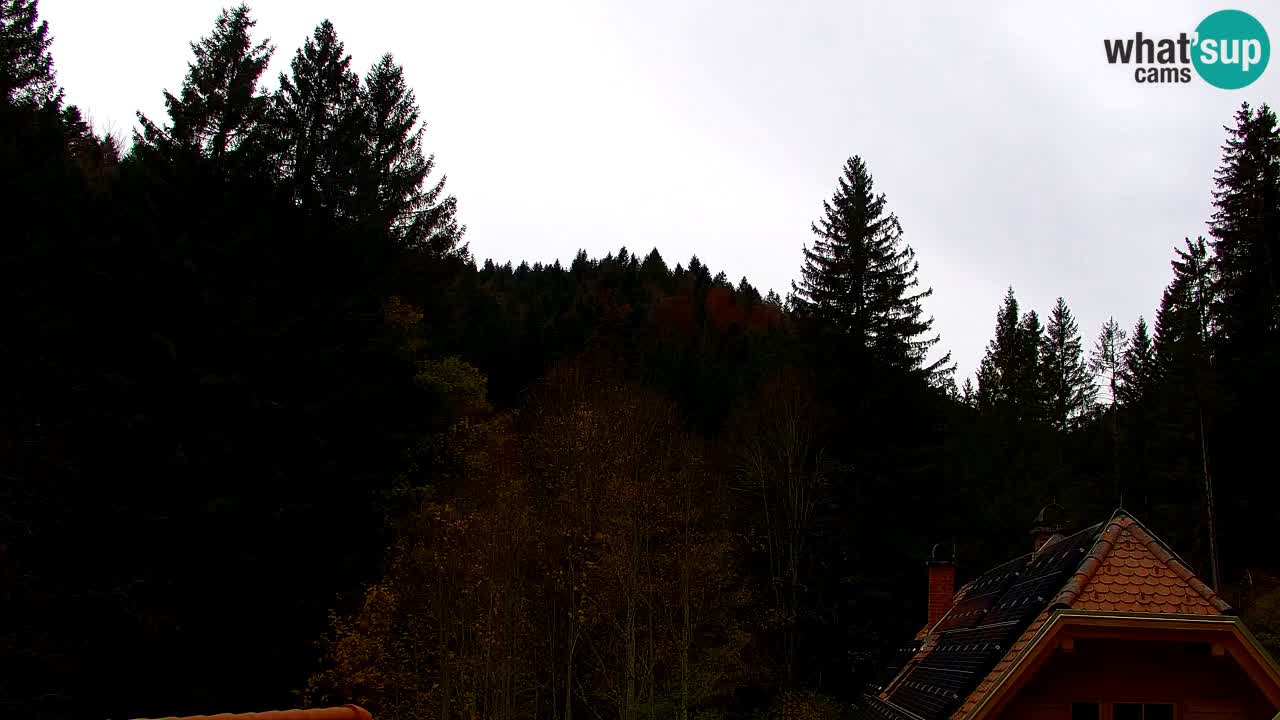 Webcam Lukanja – Water Village | Pohorje Houses
