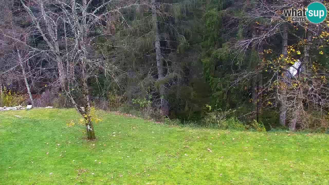 Webcam Lukanja – Pohorje houses a Water village