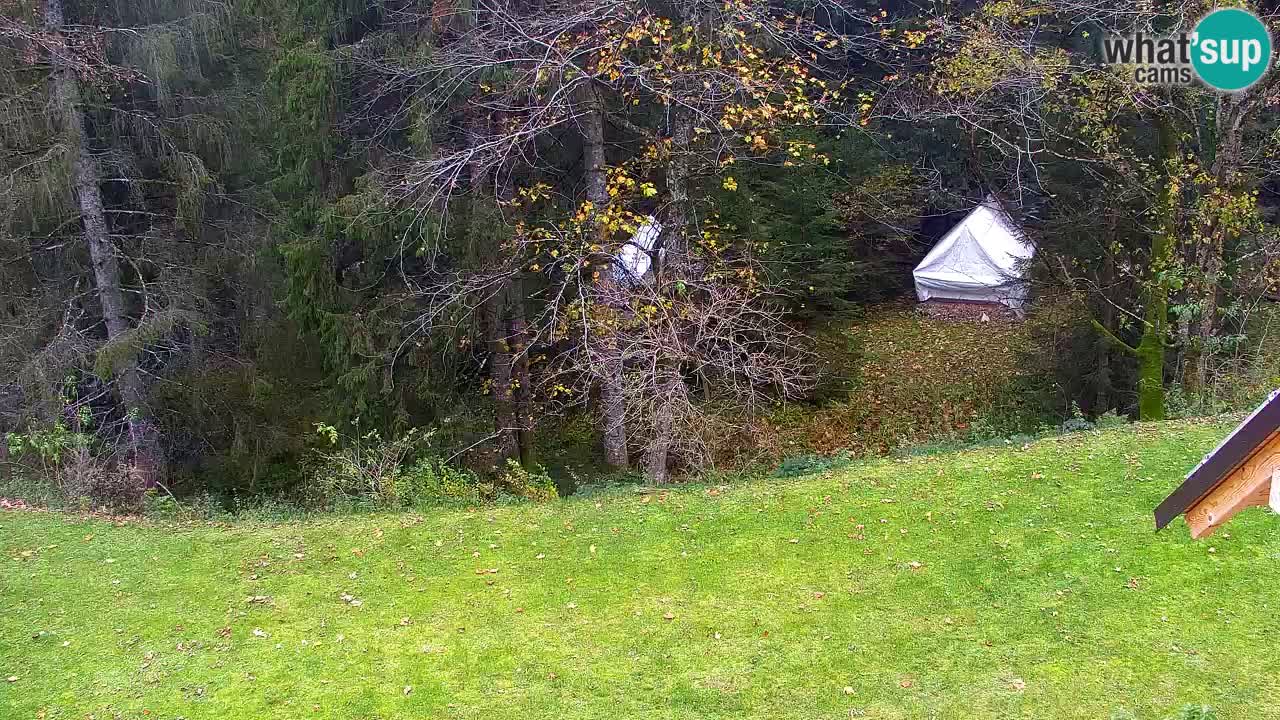 Webcam Lukanja – Water Village | Pohorje Houses