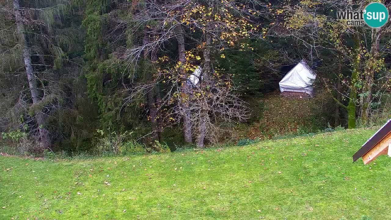 Webcam Lukanja – Pohorje houses a Water village
