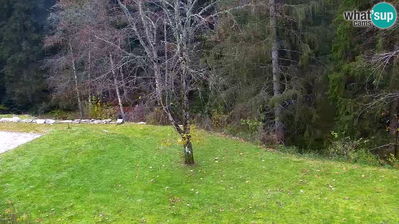 Webcam Lukanja – Pohorje houses a Water village