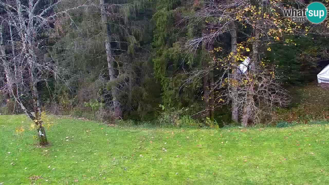 Webcam Lukanja – Pohorje houses a Water village