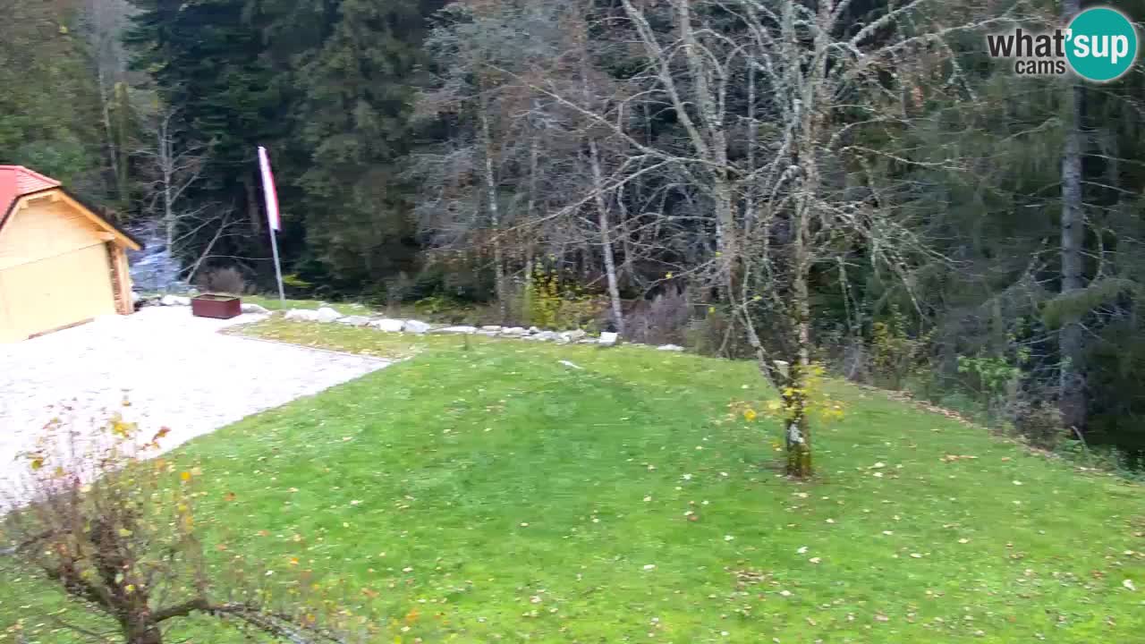Spletna kamera Lukanja – Water Village | Pohorje Houses