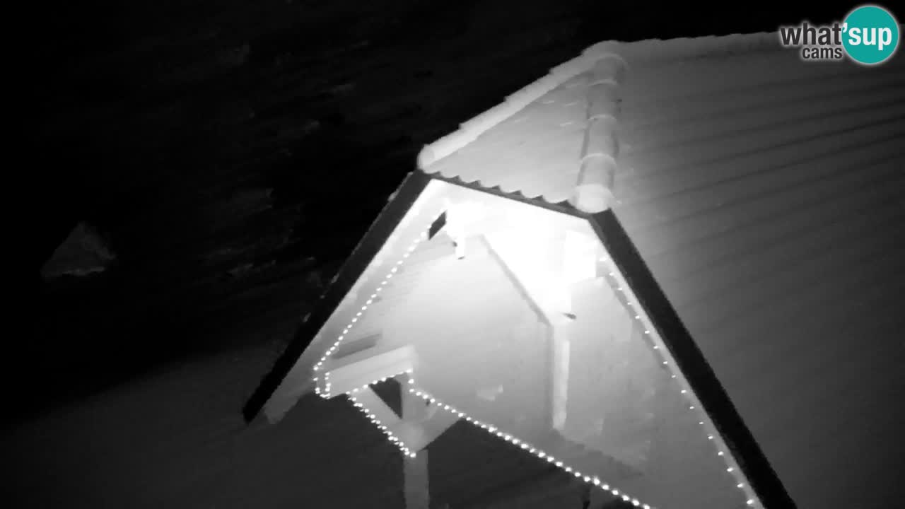 Web kamera Lukanja – Water Village | Pohorje Houses