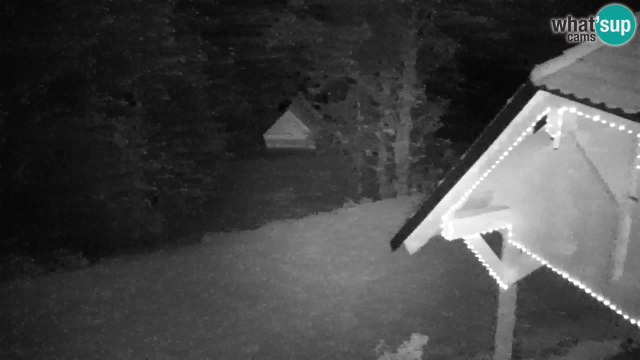 Webcam Lukanja – Water Village | Pohorje Houses