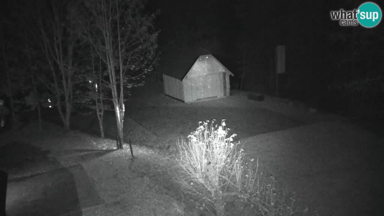 Webcam Lukanja – Water Village | Pohorje Houses