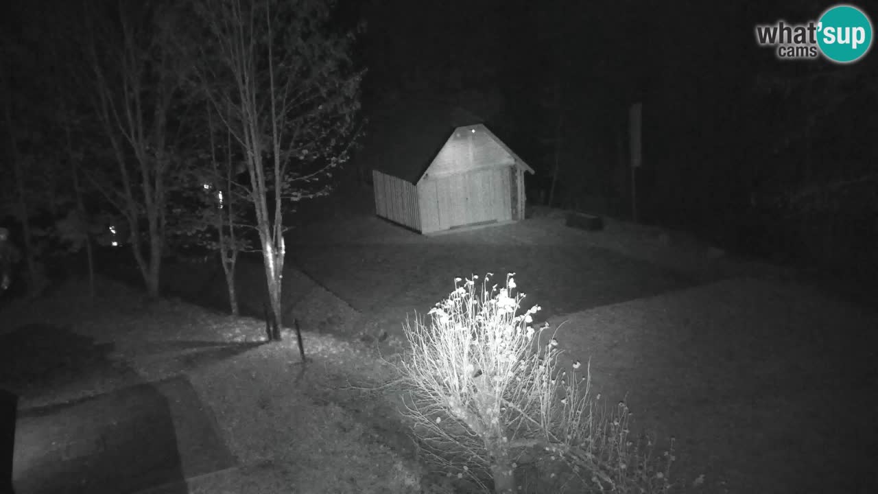 Webcam Lukanja – Water Village | Pohorje Houses