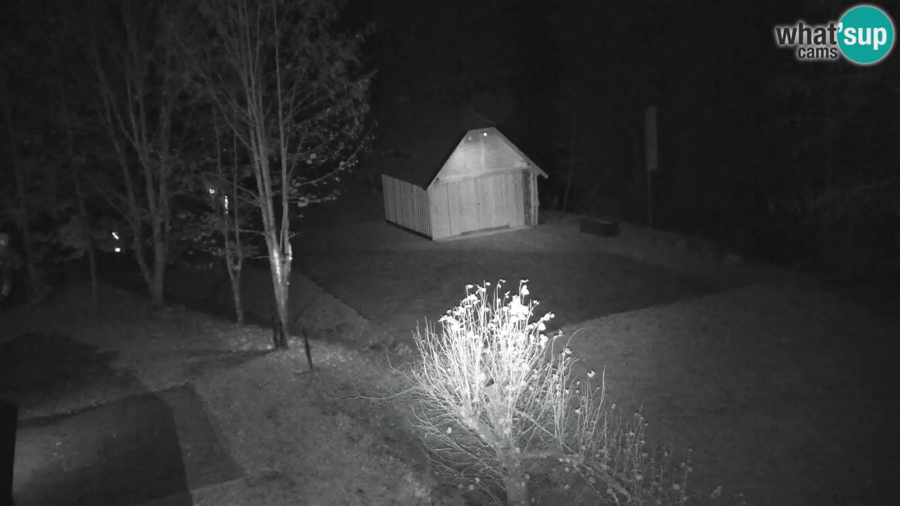 Webcam Lukanja – Pohorje houses a Water village