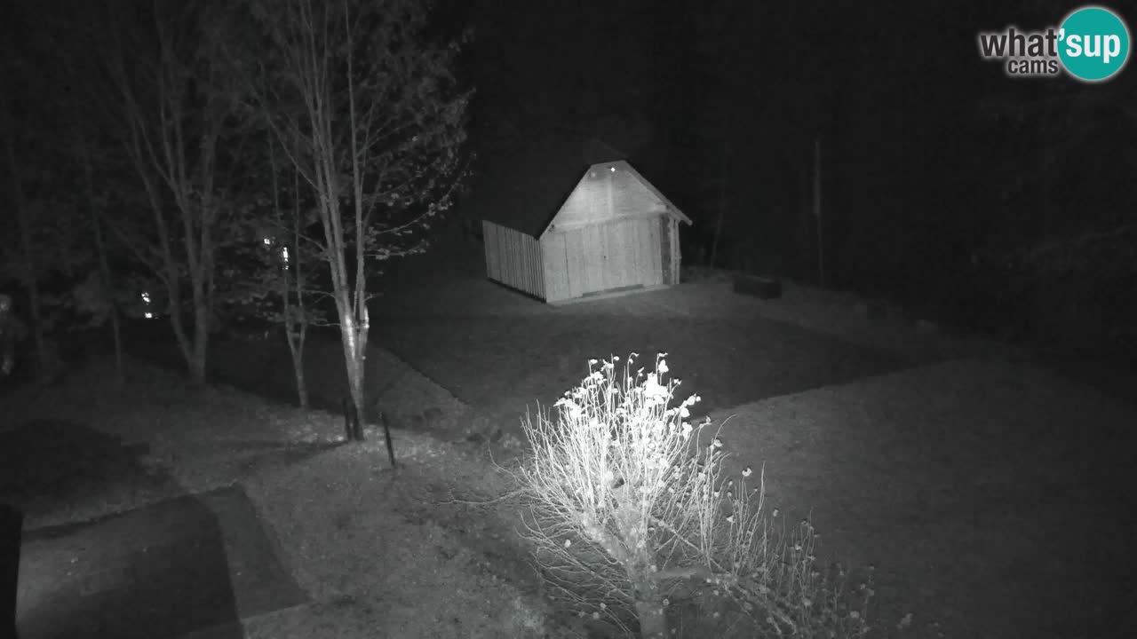 Webcam Lukanja – Pohorje houses a Water village