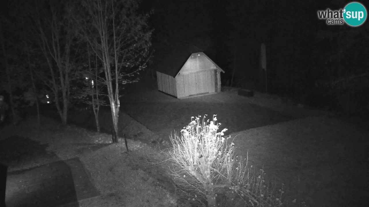 Webcam Lukanja – Water Village | Pohorje Houses