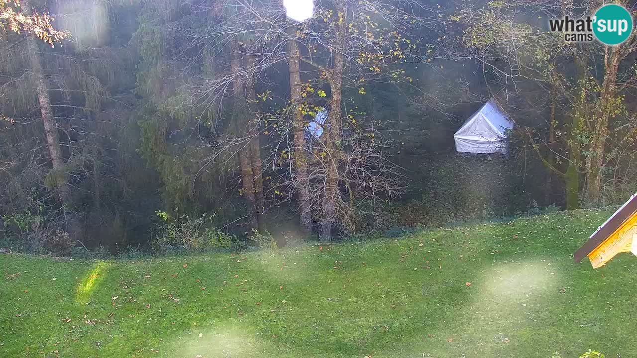 Webcam Lukanja – Water Village | Pohorje Houses