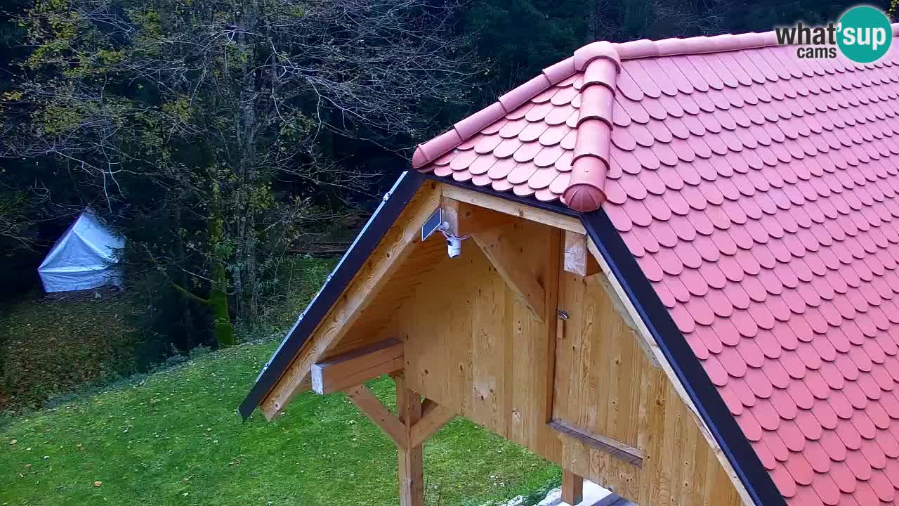 Webcam Lukanja – Pohorje houses a Water village