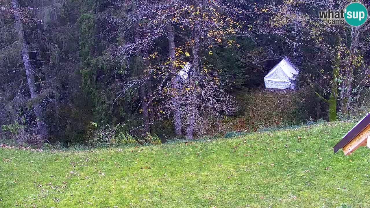 Webcam Lukanja – Pohorje houses a Water village