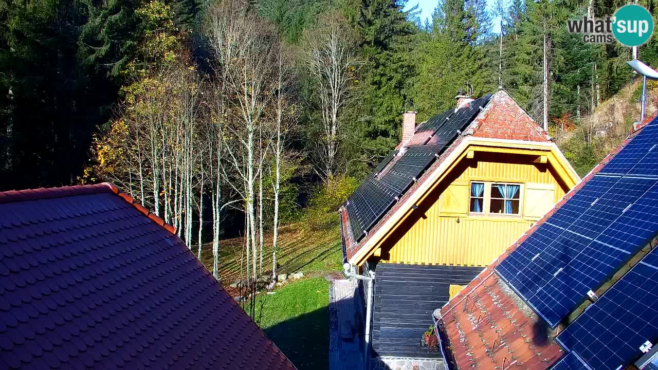 Webcam Lukanja – Water Village | Pohorje Houses