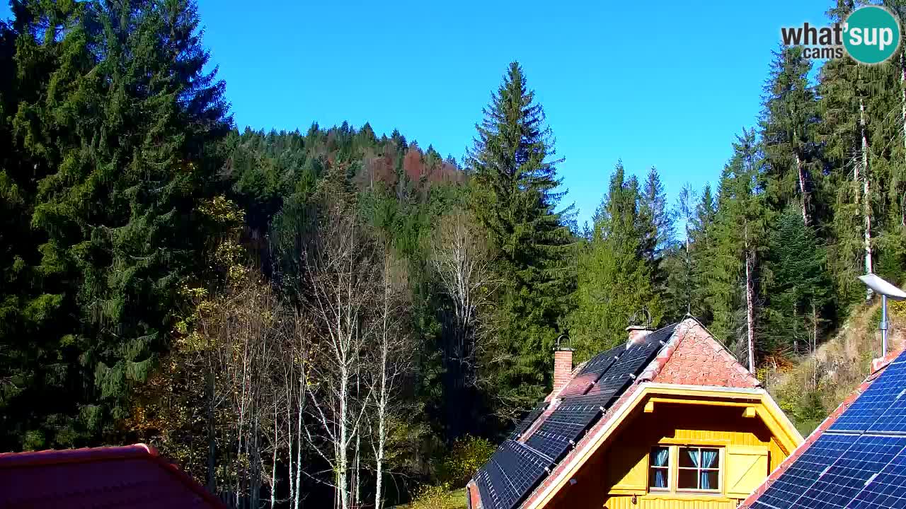 Spletna kamera Lukanja – Water Village | Pohorje Houses