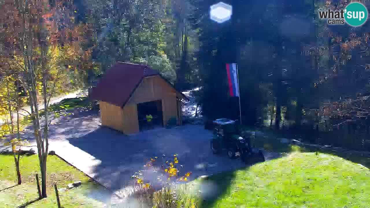 Webcam Lukanja – Water Village | Pohorje Houses