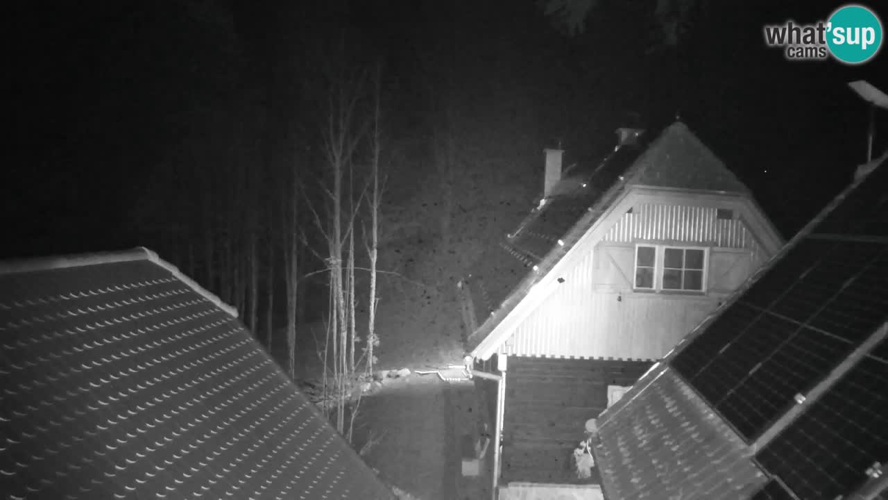 Webcam Lukanja – Pohorje houses a Water village