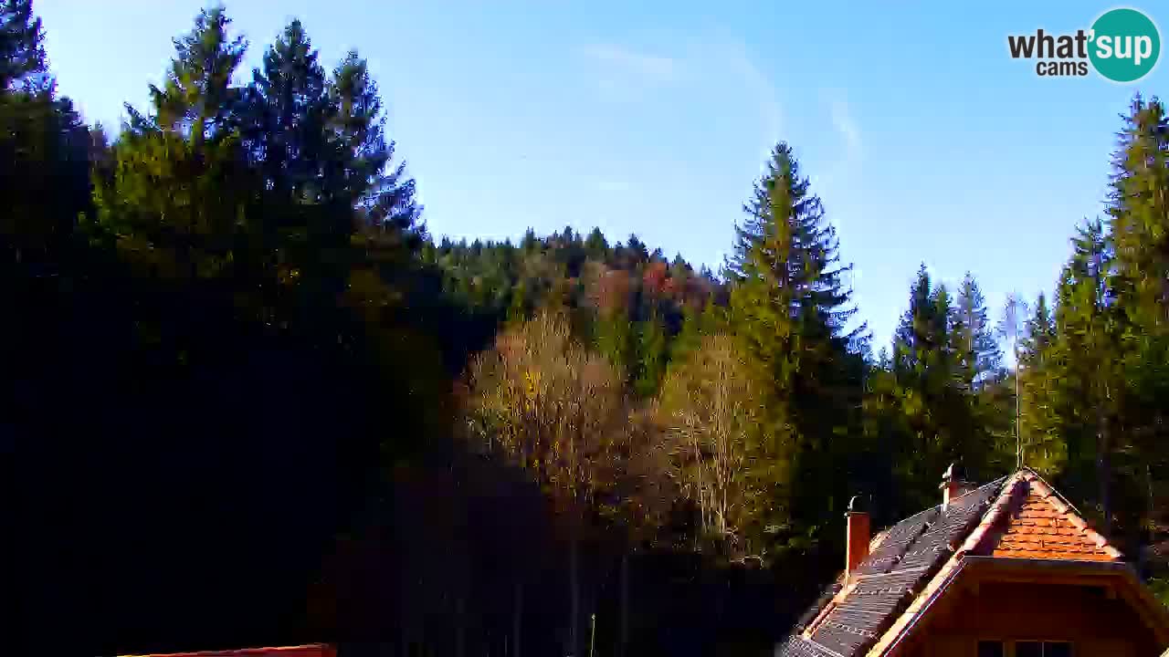 Webcam Lukanja – Water Village | Pohorje Houses
