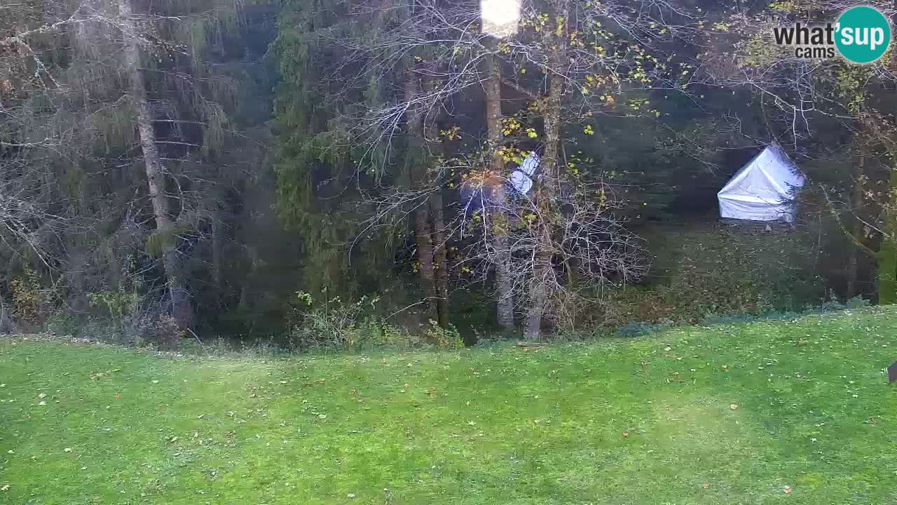 Webcam Lukanja – Water Village | Pohorje Houses