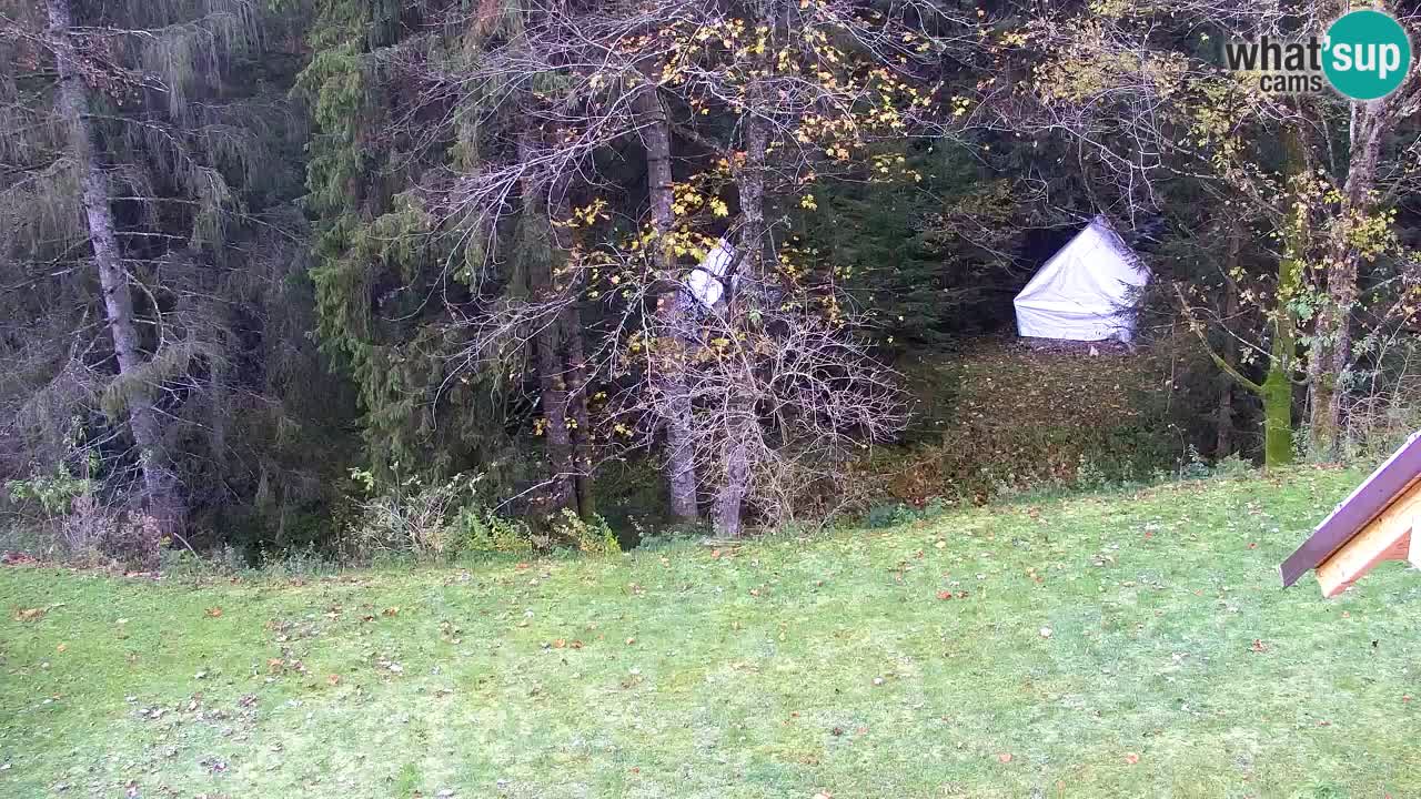 Webcam Lukanja – Water Village | Pohorje Houses