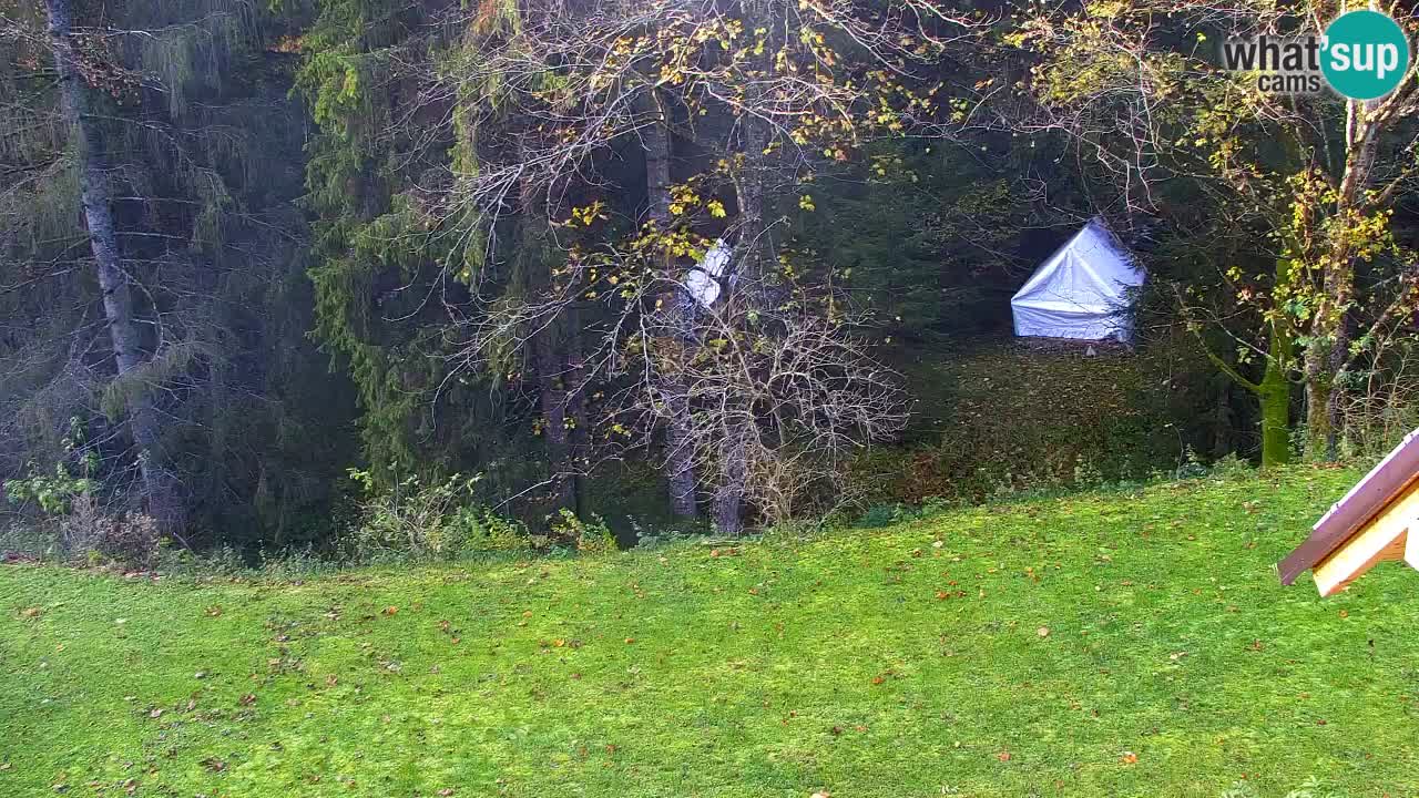 Web kamera Lukanja – Water Village | Pohorje Houses