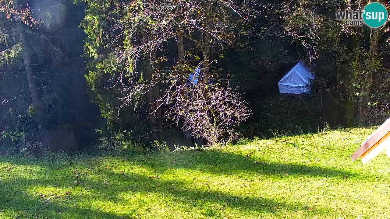 Webcam Lukanja – Water Village | Pohorje Houses