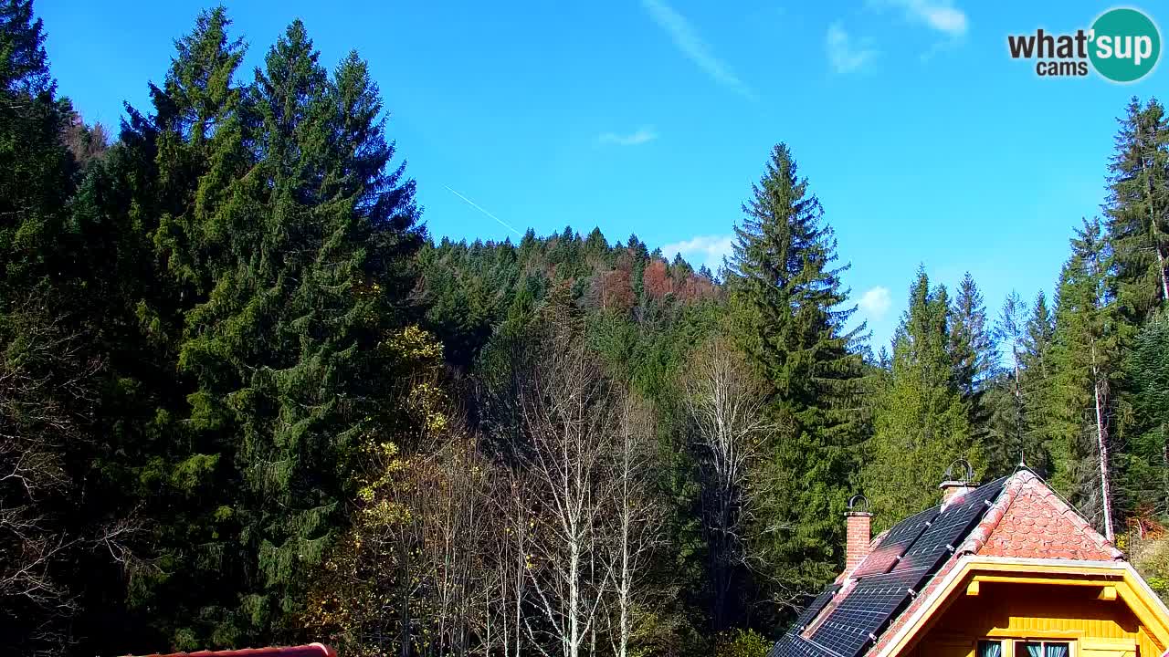 Webcam Lukanja – Pohorje houses a Water village