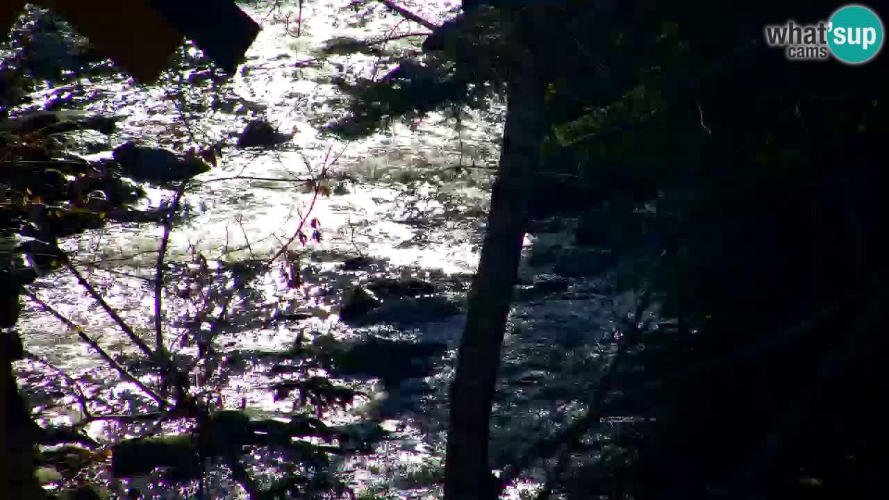 Webcam Lukanja – Pohorje houses a Water village