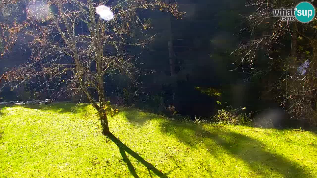 Spletna kamera Lukanja – Water Village | Pohorje Houses