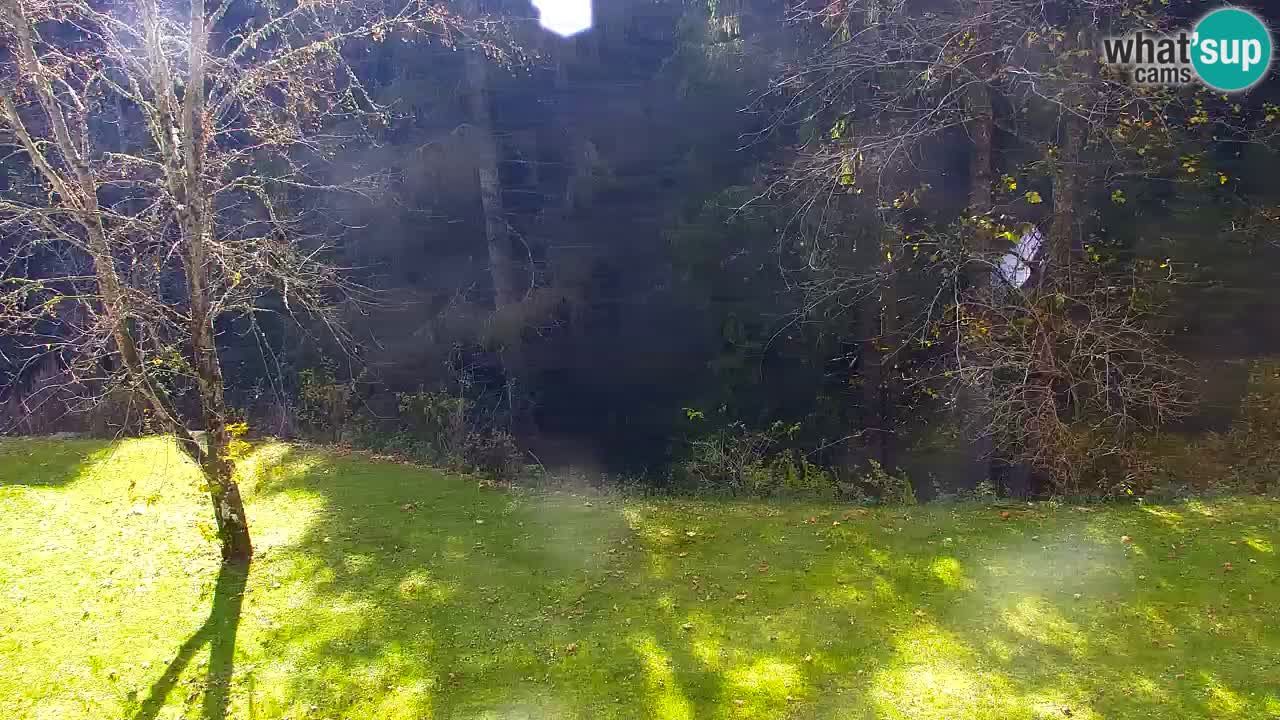 Webcam Lukanja – Pohorje houses a Water village