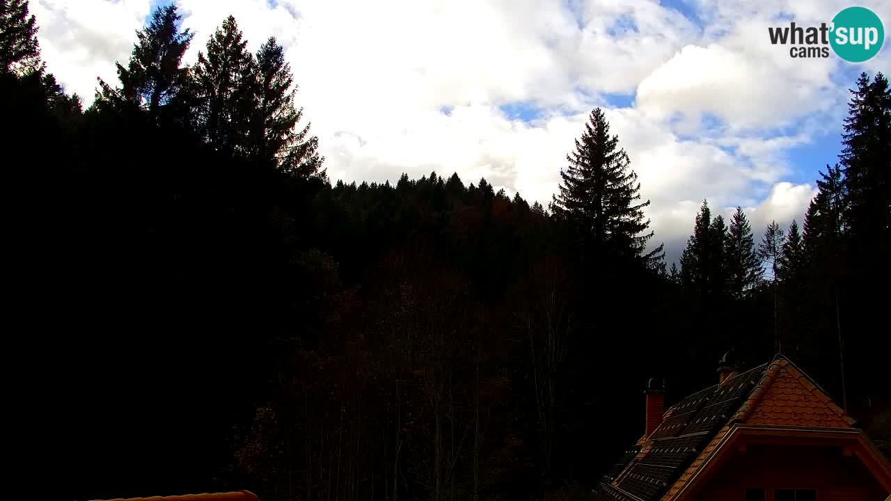 Webcam Lukanja – Water Village | Pohorje Houses