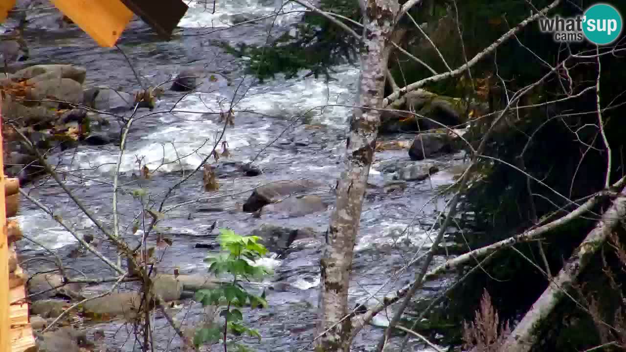 Webcam Lukanja – Water Village | Pohorje Houses