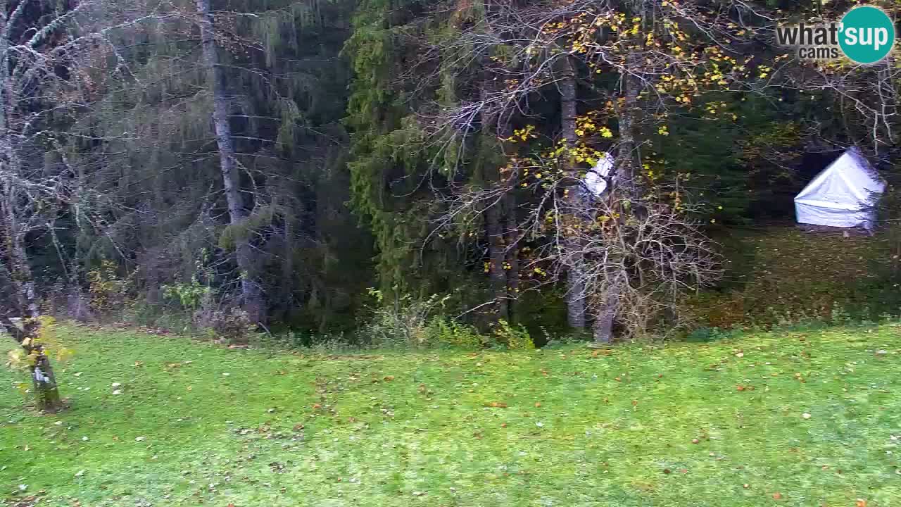 Webcam Lukanja – Pohorje houses a Water village