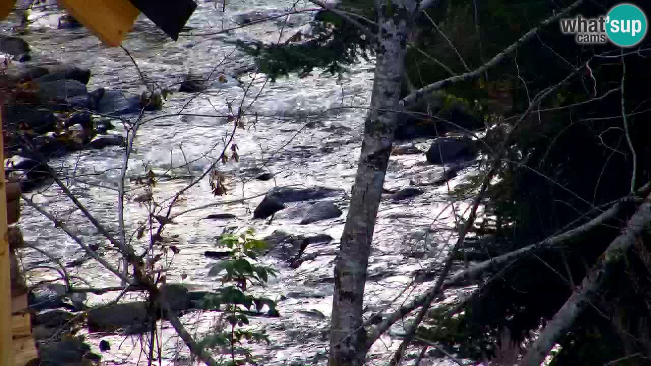 Webcam Lukanja – Water Village | Pohorje Houses