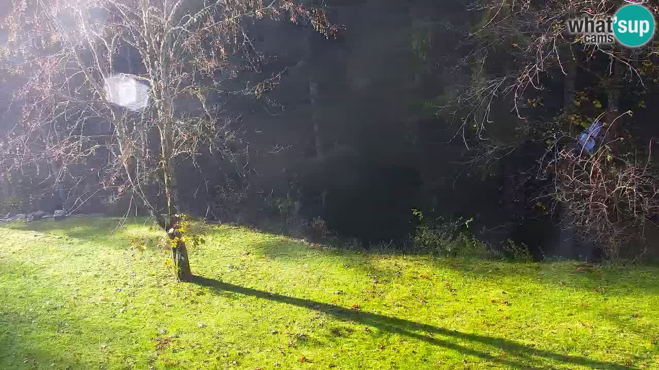 Webcam Lukanja – Water Village | Pohorje Houses