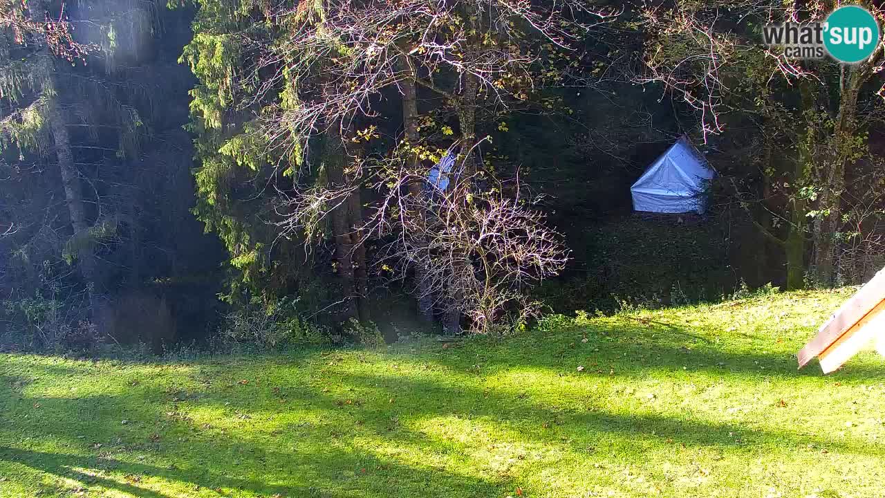 Spletna kamera Lukanja – Water Village | Pohorje Houses